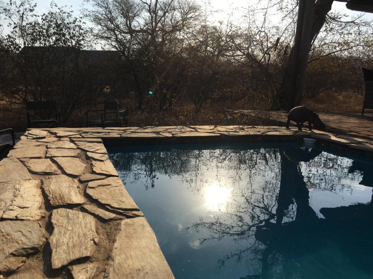 Giraffe Lodge Hoedspruit Exterior photo